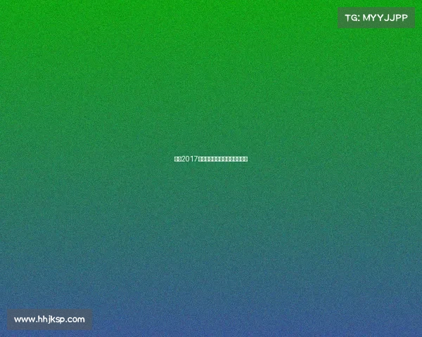 申花2017赛季赛事征程荣耀夺冠辉煌纪录