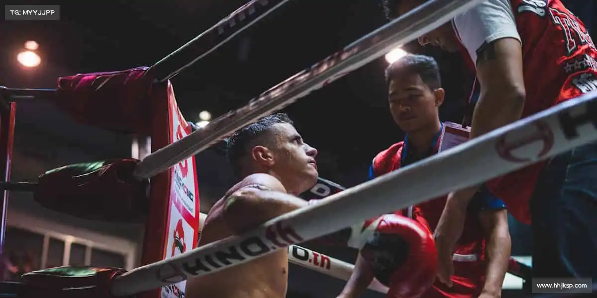 大红鹰dhy0033——🎯百步穿杨，精准致胜！